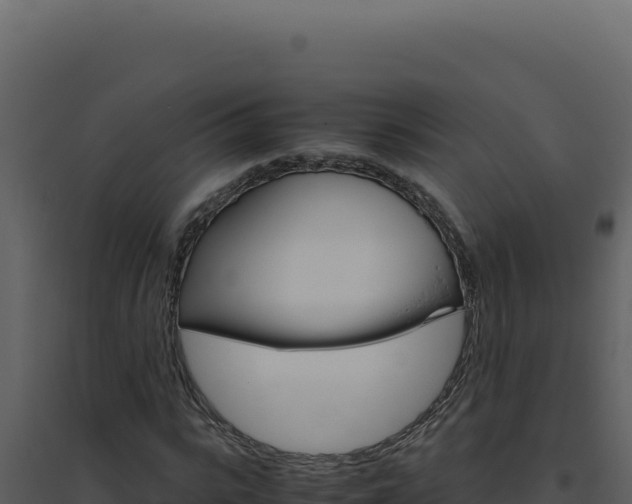 X0000094820919200711161024