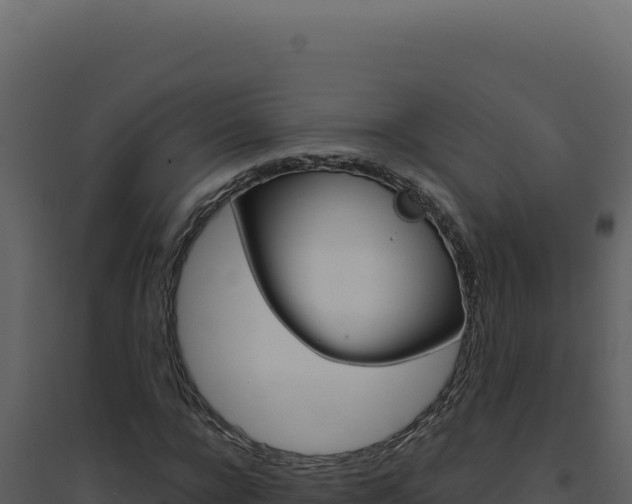 X0000094820920200711161024