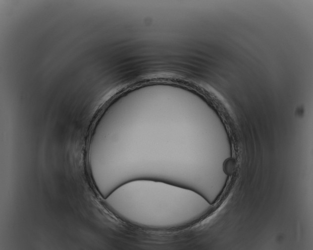 X0000094820921200711161024