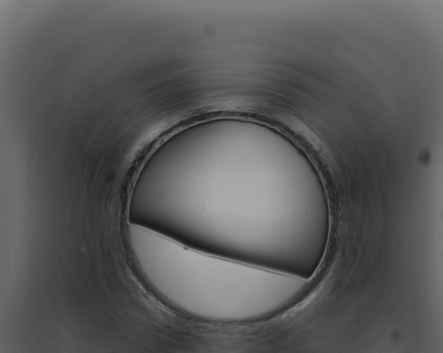 X0000094820922200711161024