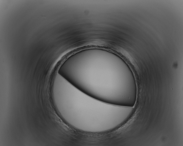 X0000094820923200711161024