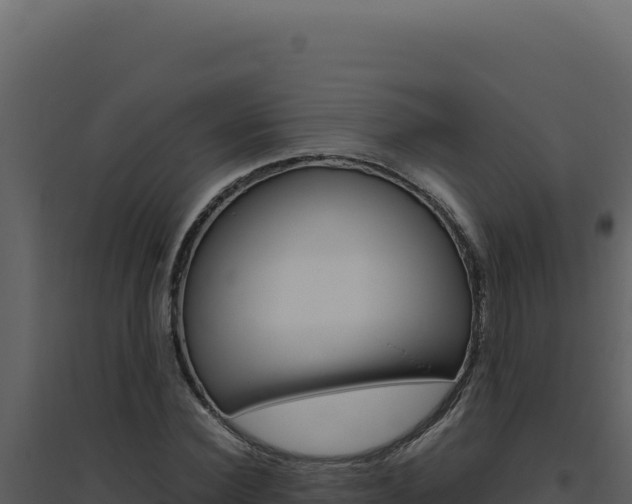 X0000094820924200711161024