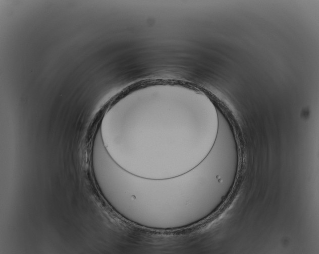 X0000094820925200711161024