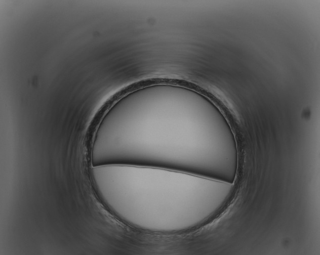 X0000094820926200711161024