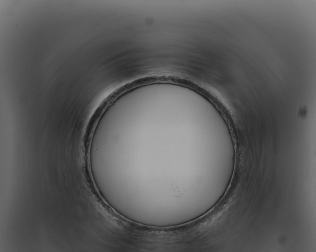 X0000094820927200711161024