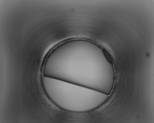 X0000094820928200711161024