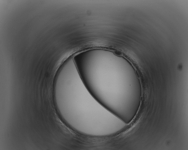 X0000094820930200711161024