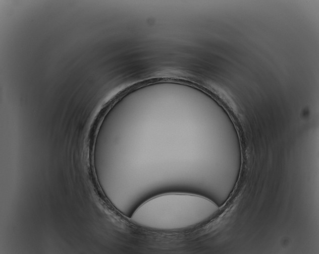 X0000094820931200711161024