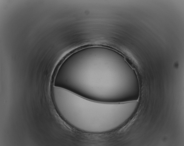 X0000094820932200711161024