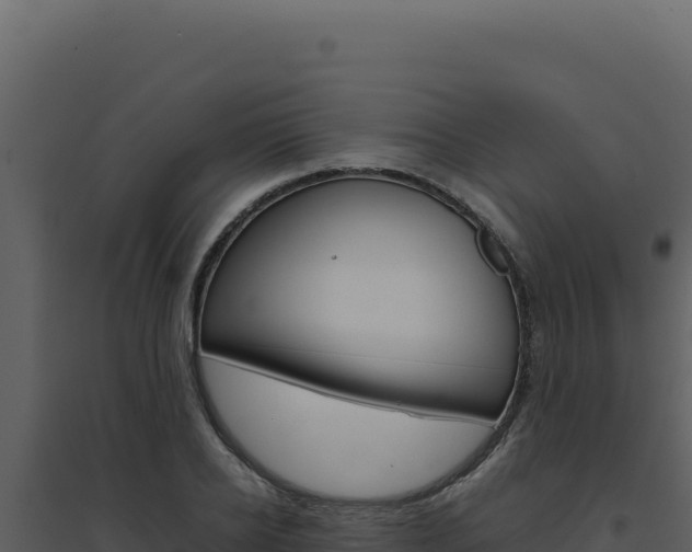 X0000094820934200711161024