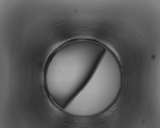 X0000094820935200711161024