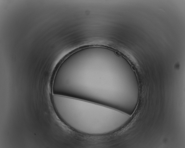 X0000094820936200711161024