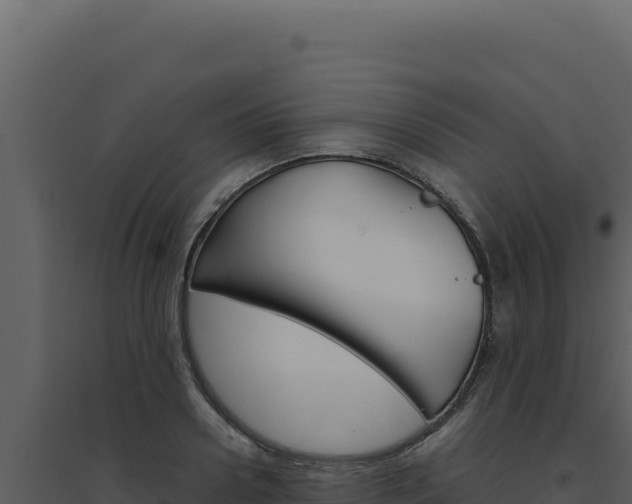 X0000094820938200711161024