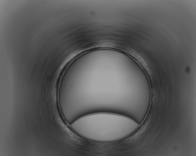 X0000094820939200711161024