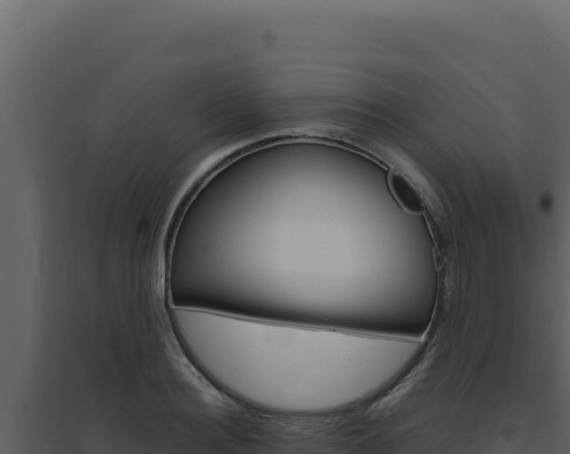 X0000094820940200711161025
