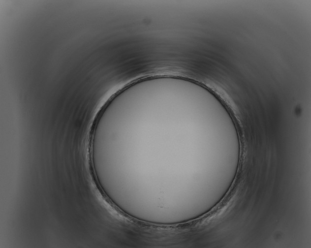 X0000094820941200711161025