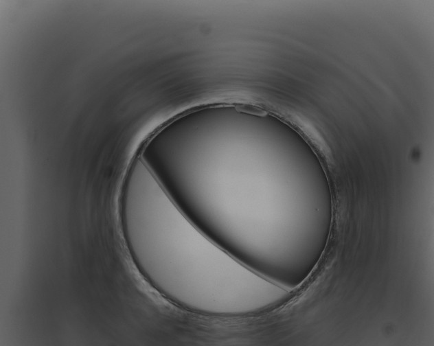 X0000094820944200711161025