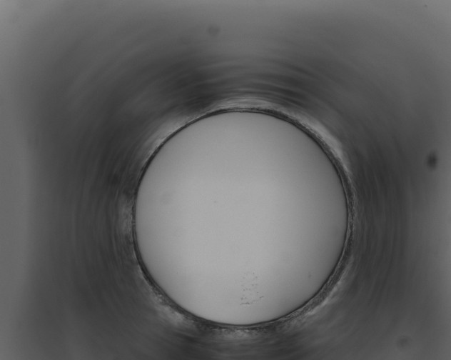 X0000094820945200711161025