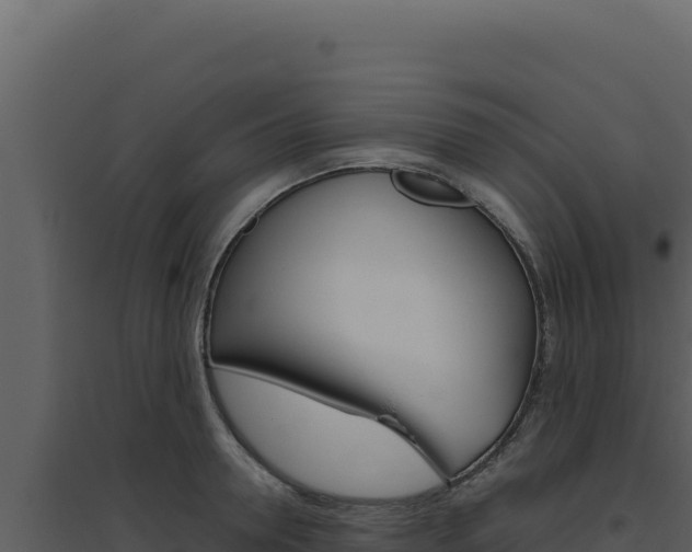 X0000094820946200711161025