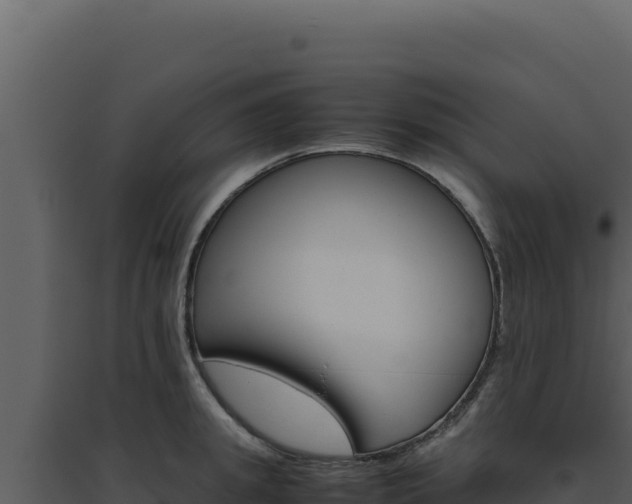 X0000094820949200711161025