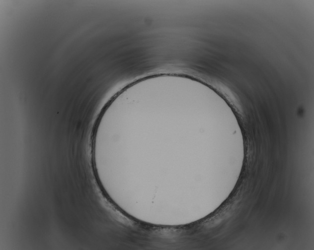 X0000094820950200711161025