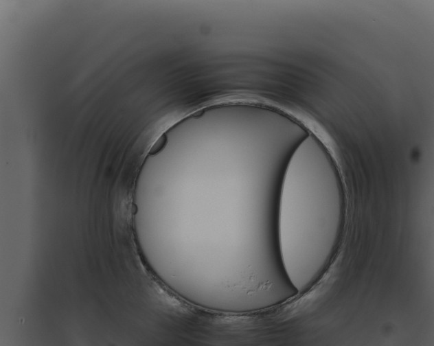 X0000094820953200711161025