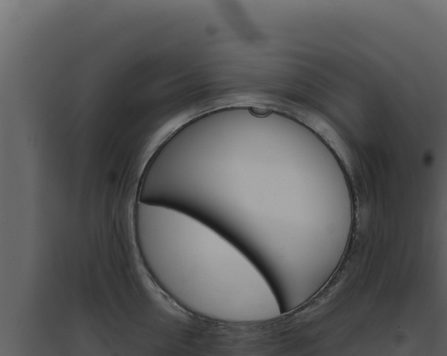 X0000094820954200711161025