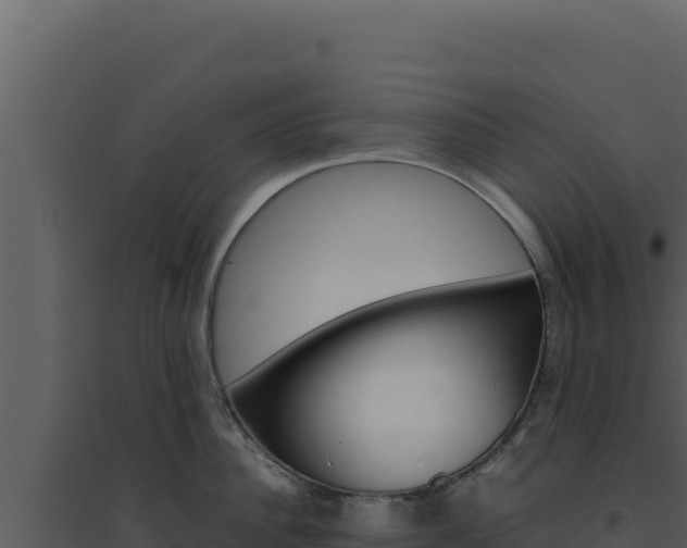 X0000094820956200711161025