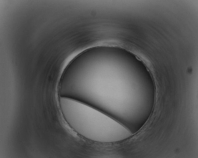 X0000094820960200711161025