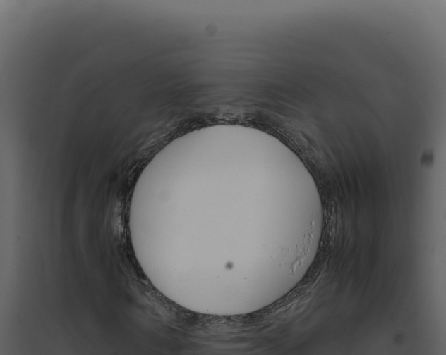 X0000094820962200711161024