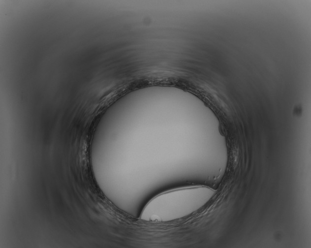 X0000094820964200711161024