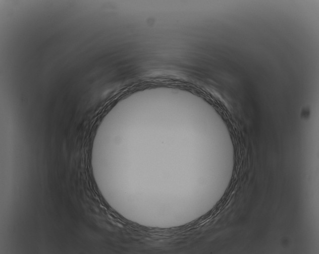X0000094820965200711161024