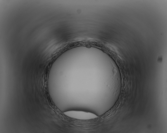 X0000094820966200711161024