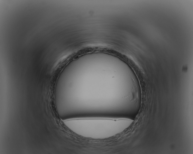 X0000094820967200711161024