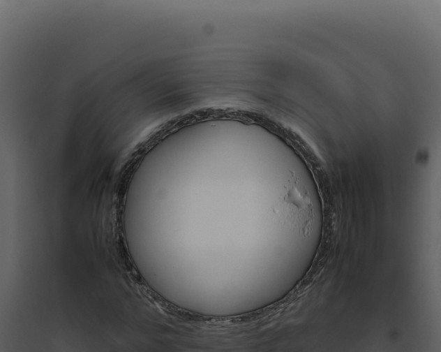 X0000094820968200711161024