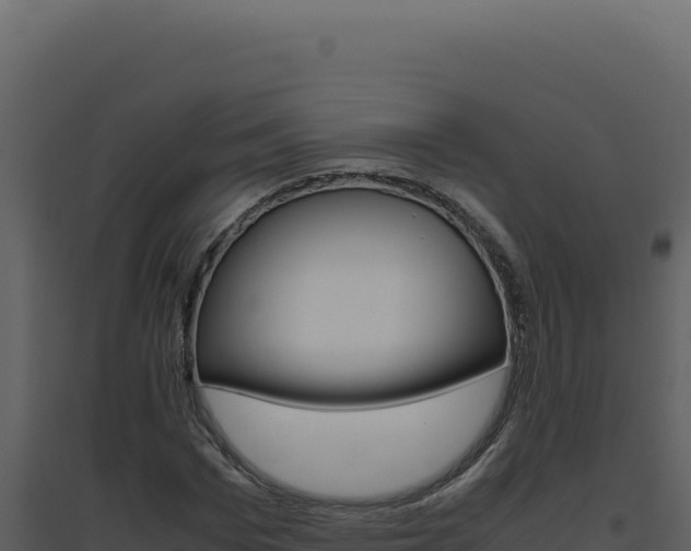 X0000094820969200711161024