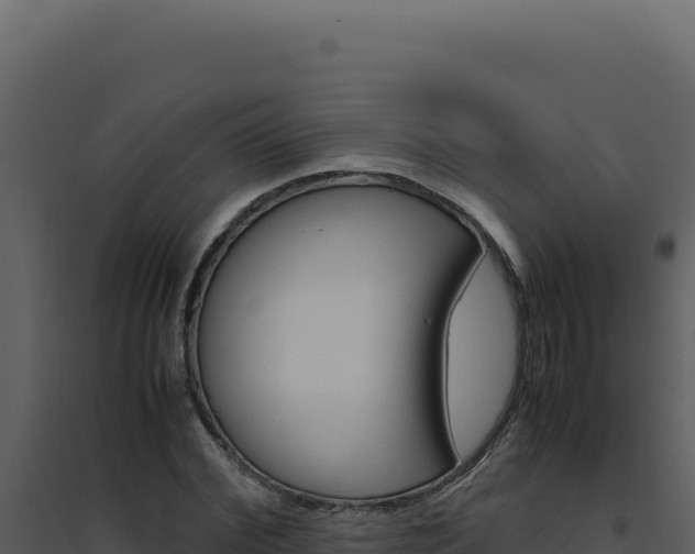 X0000094820972200711161024