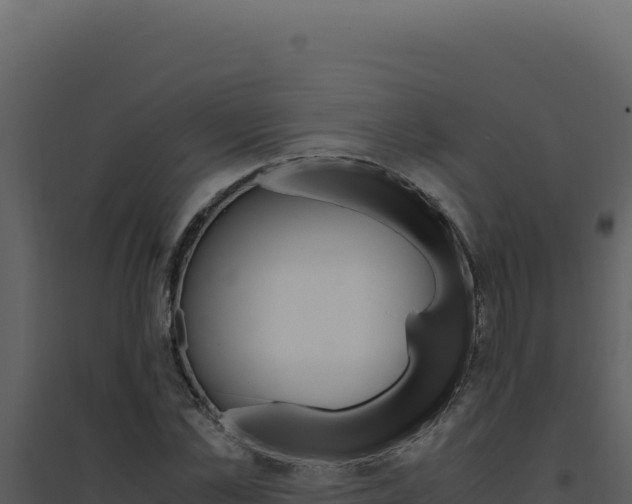 X0000094820973200711161024