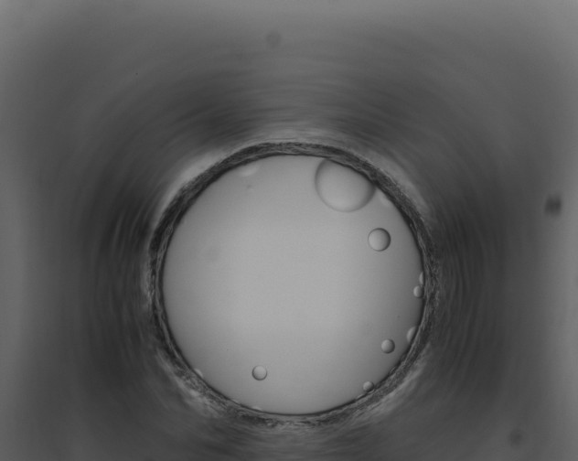 X0000094820974200711161024