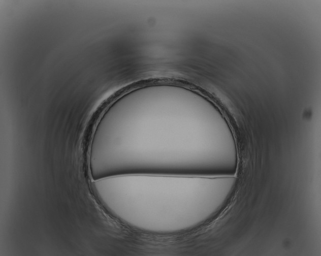 X0000094820975200711161024