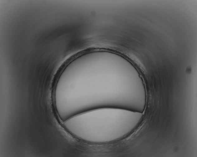 X0000094820976200711161024