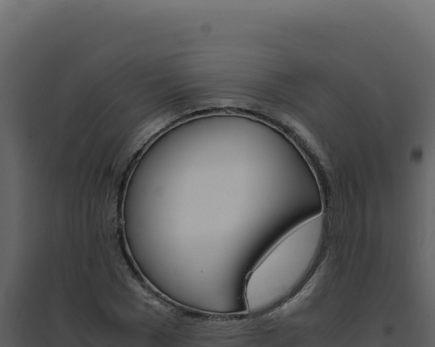 X0000094820977200711161024