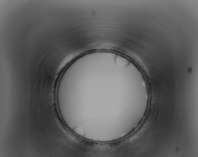 X0000094820978200711161024