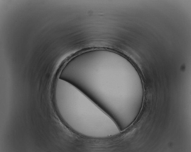 X0000094820979200711161024