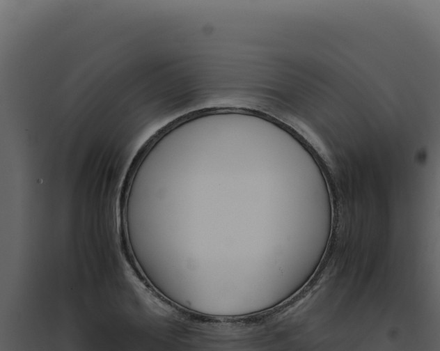 X0000094820980200711161024