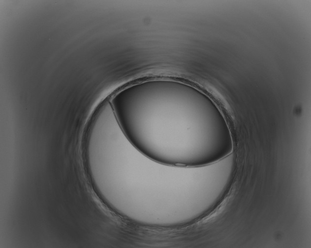 X0000094820981200711161024