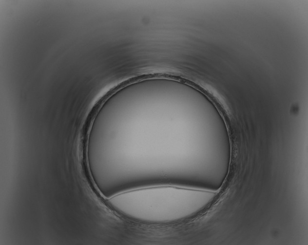 X0000094820983200711161024