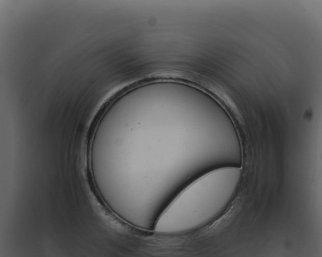 X0000094820984200711161024