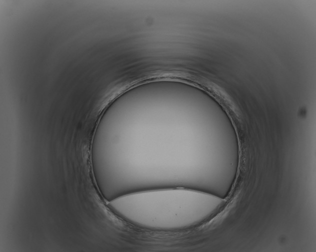X0000094820985200711161024