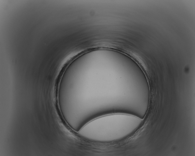 X0000094820987200711161024